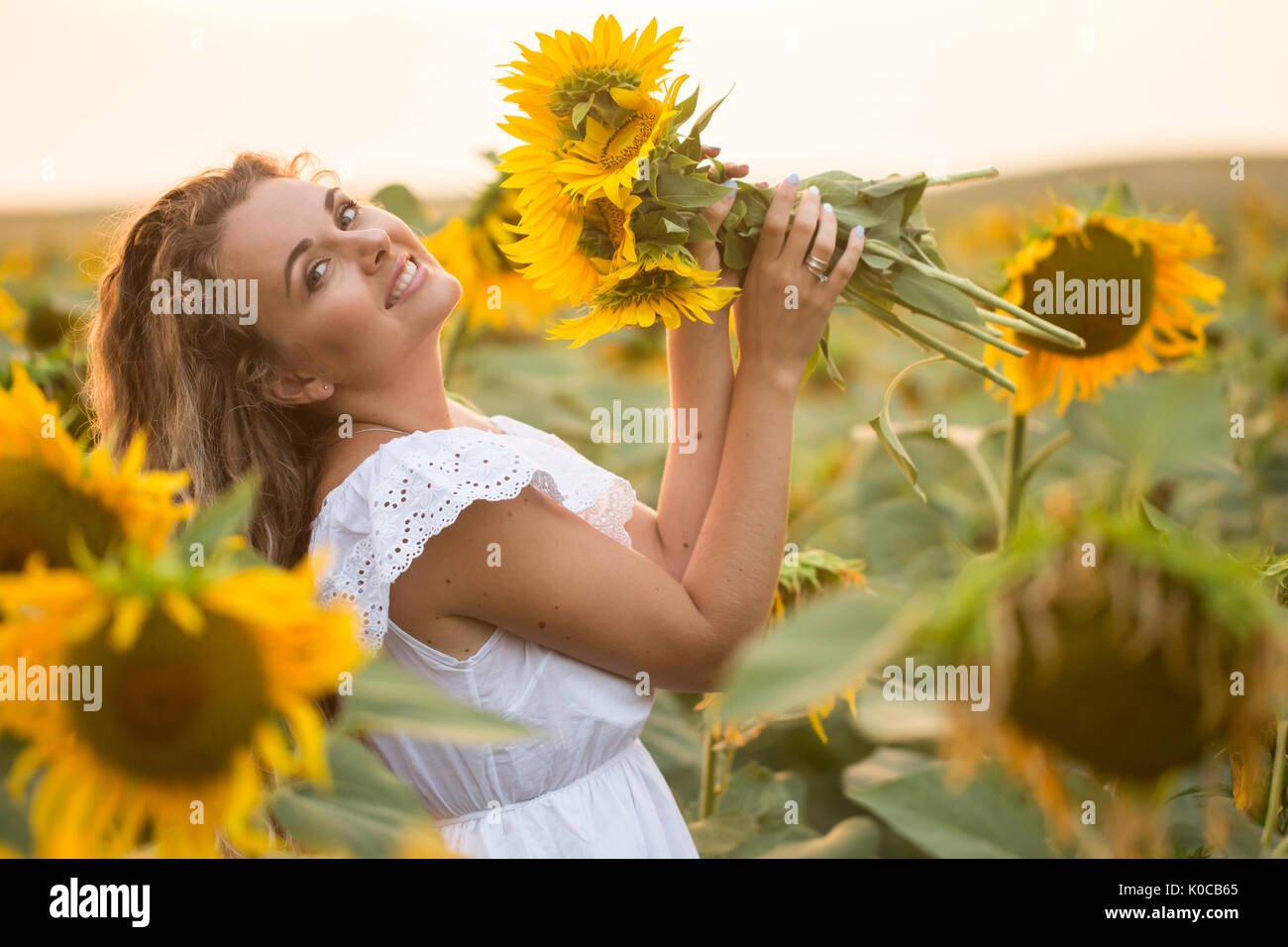 Young woman in a field of sunflowers. sunset light in the field of ...