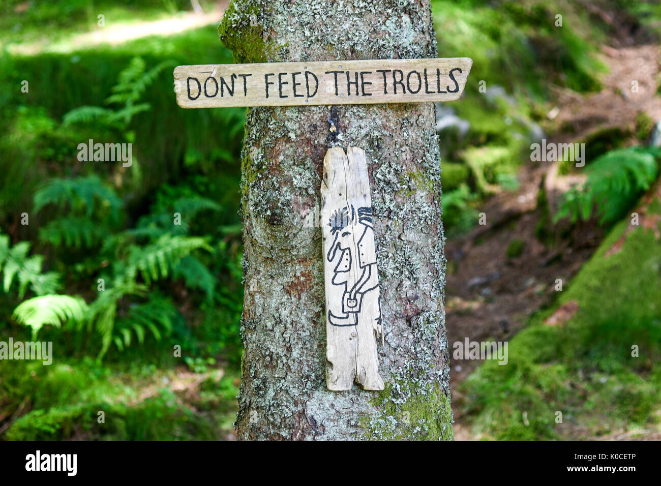 The plate: Don't feed the trolls in forest in Norway. Stock Photo
