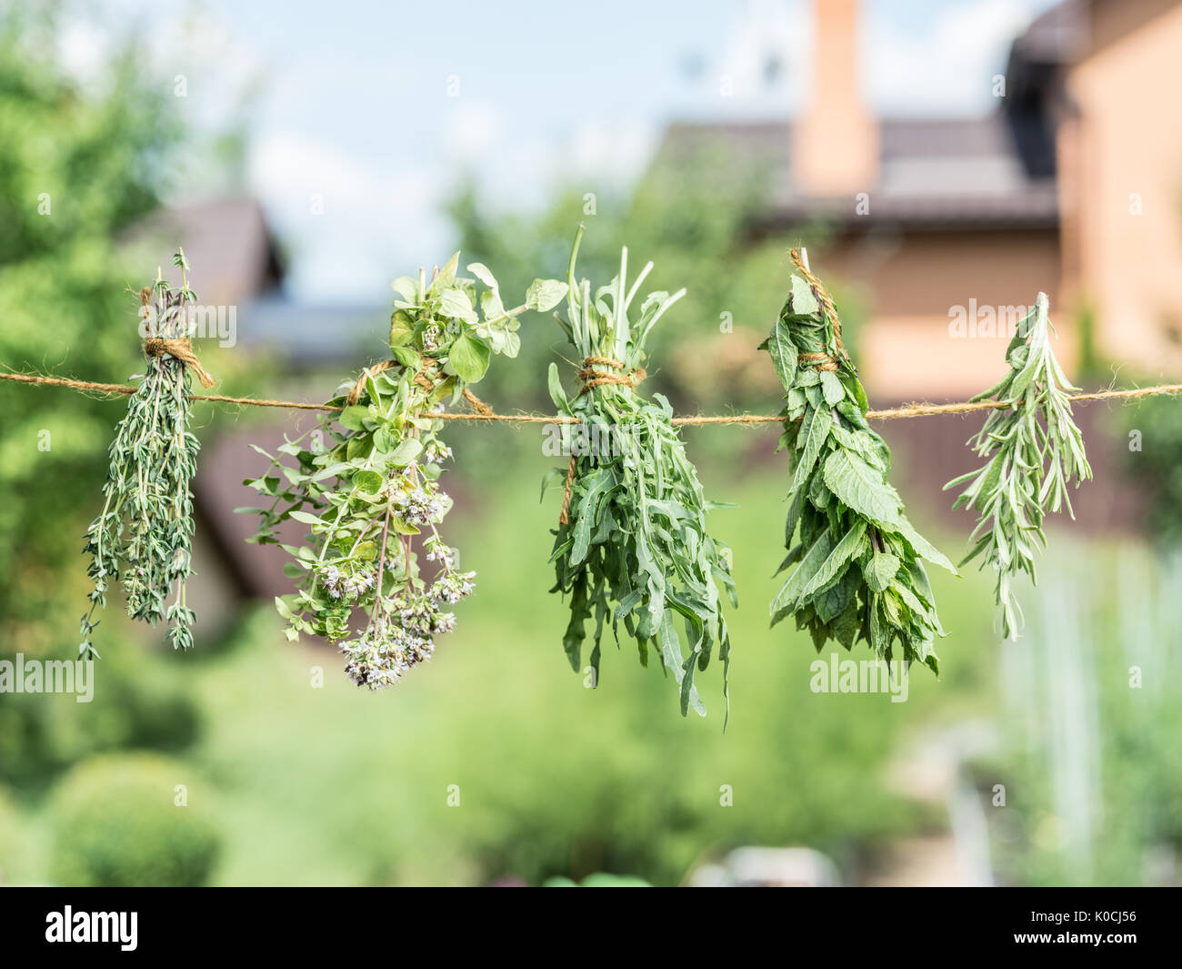 Bundles of flavoured herbs drying on the open air. Nature background