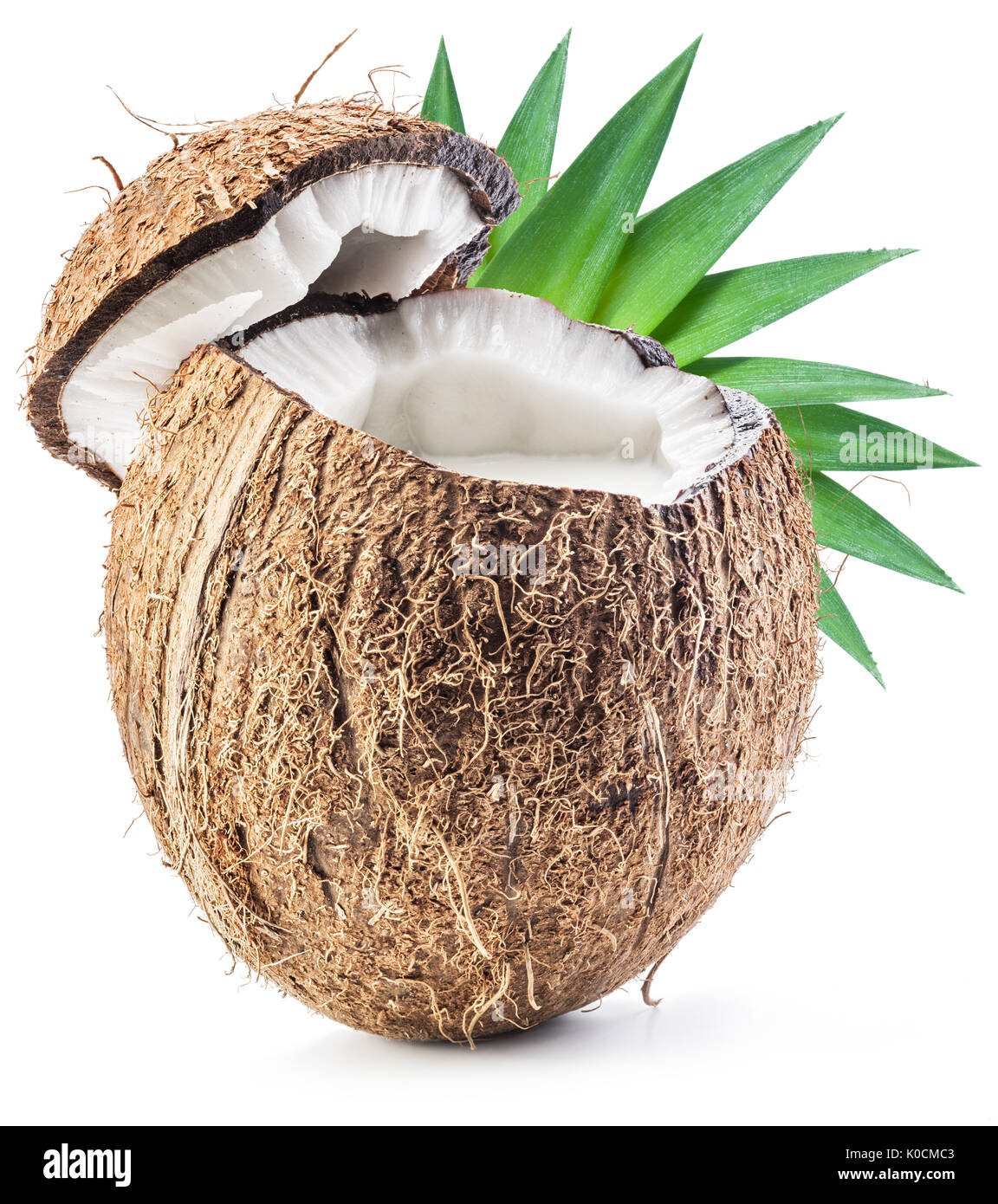 Cracked coconut fruit with coconut milk inside Stock Photo Alamy