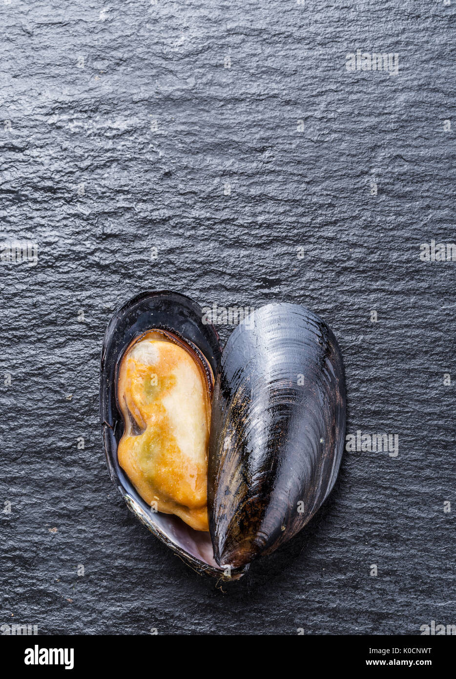 Boiled mussel on the graphite background. Stock Photo