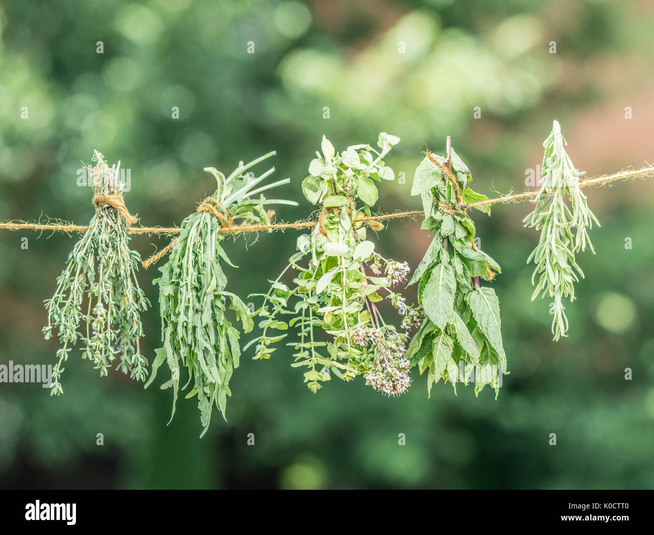 Bundles of flavoured herbs drying on the open air. Nature background