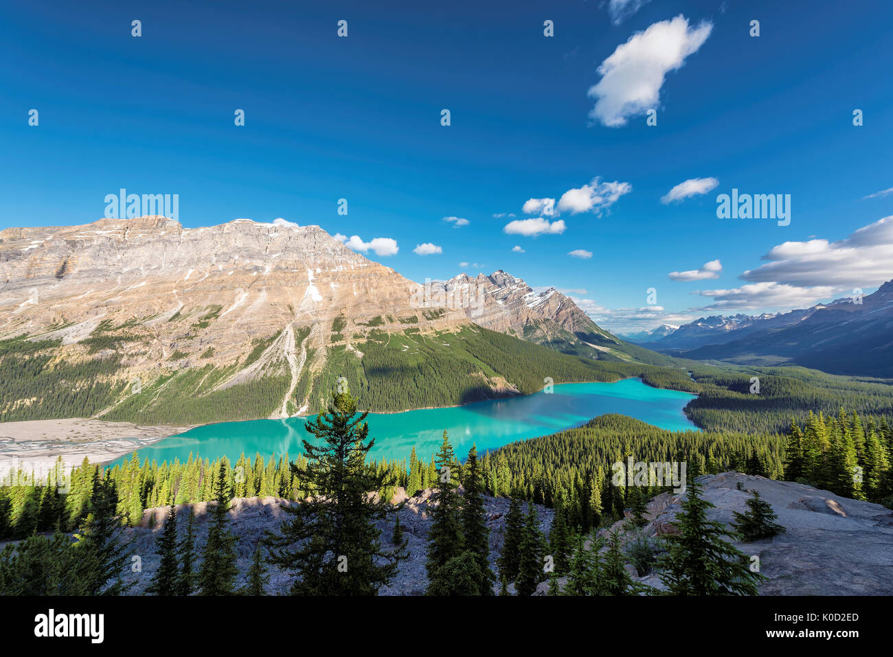 Peyto Lake in Banff National Park, Canadian Rockies. Stock Photo