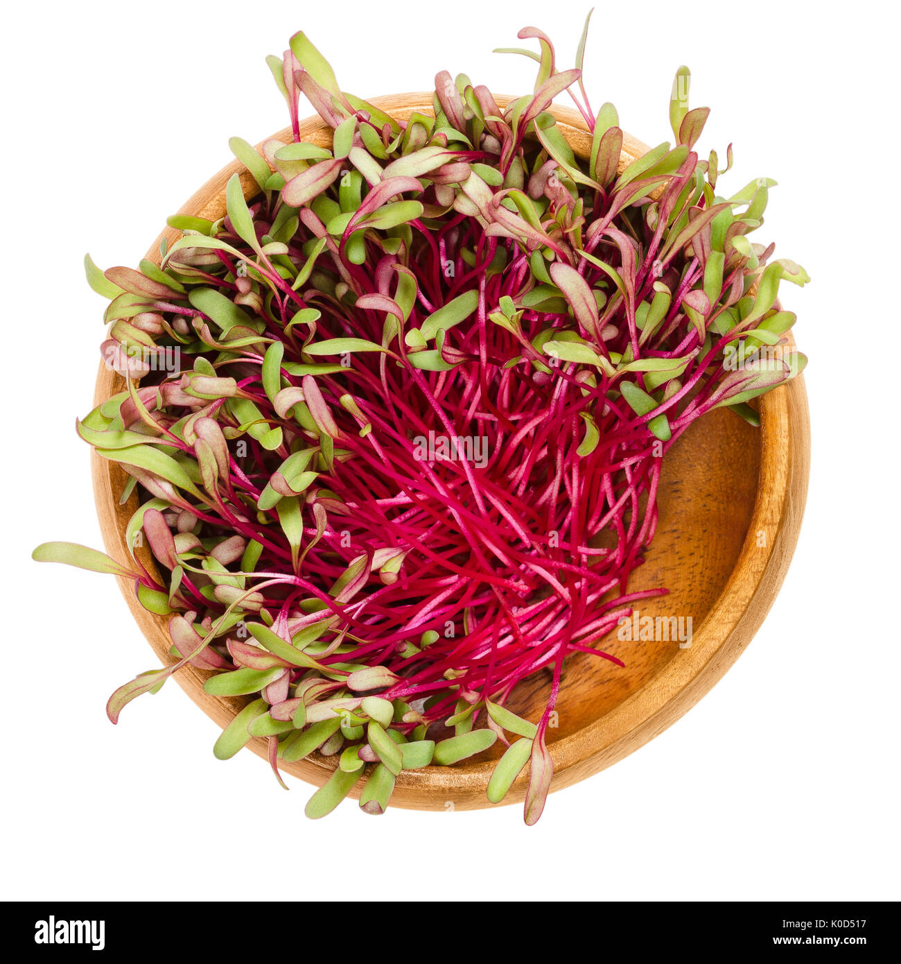 Red beetroot sprouts in wooden bowl. Leaves and cotyledons of Beta vulgaris, also beet, table, garden or red beet. Vegetable, herb, microgreen. Stock Photo