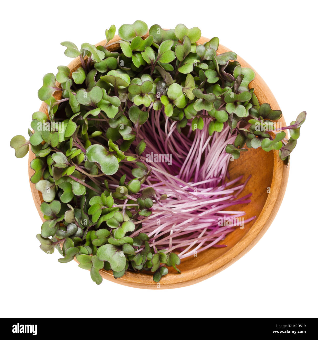 Red cabbage sprouts in wooden bowl. Leaves and cotyledons of Brassica oleracea, also purple cabbage, red or blue kraut. Vegetable. Microgreen. Stock Photo