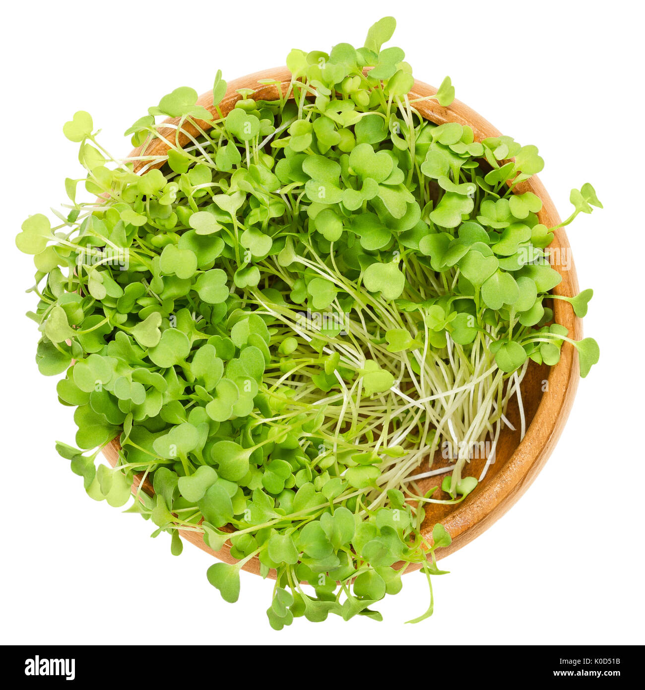 Rocket salad sprouts in wooden bowl. Leaves and cotyledons of Eruca sativa, also arugula, rucola or rugula.Salad vegetable and microgreen. Stock Photo