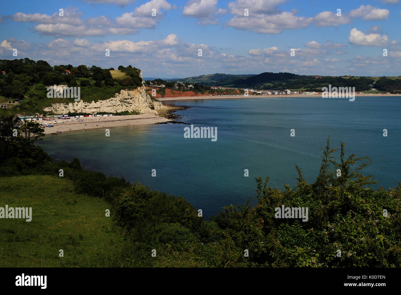 Beer Village Devon Stock Photo Alamy