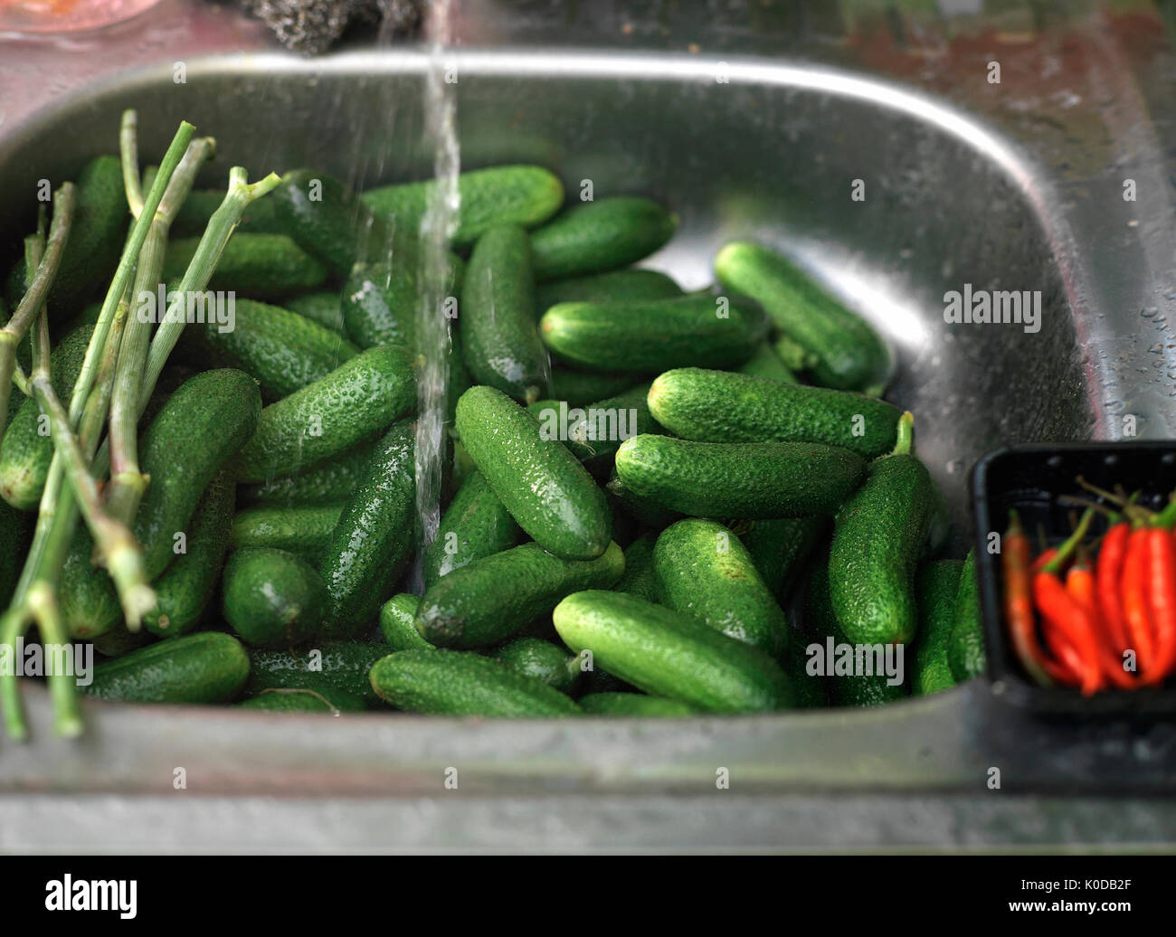 Water running on fresh cucumbers laid in a kitchen sink, closeup ...