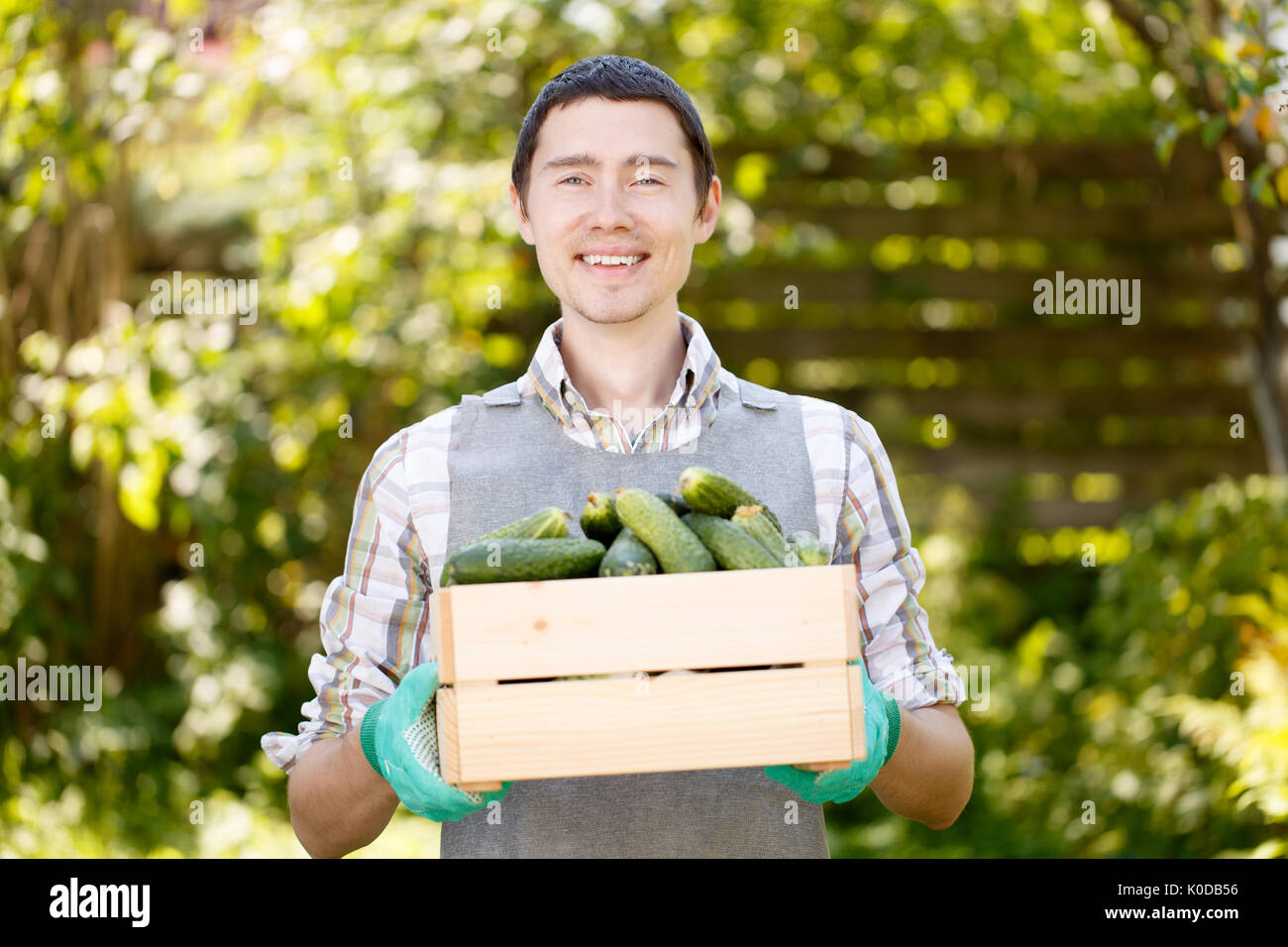 Photo of brunet with cucumbers Stock Photo