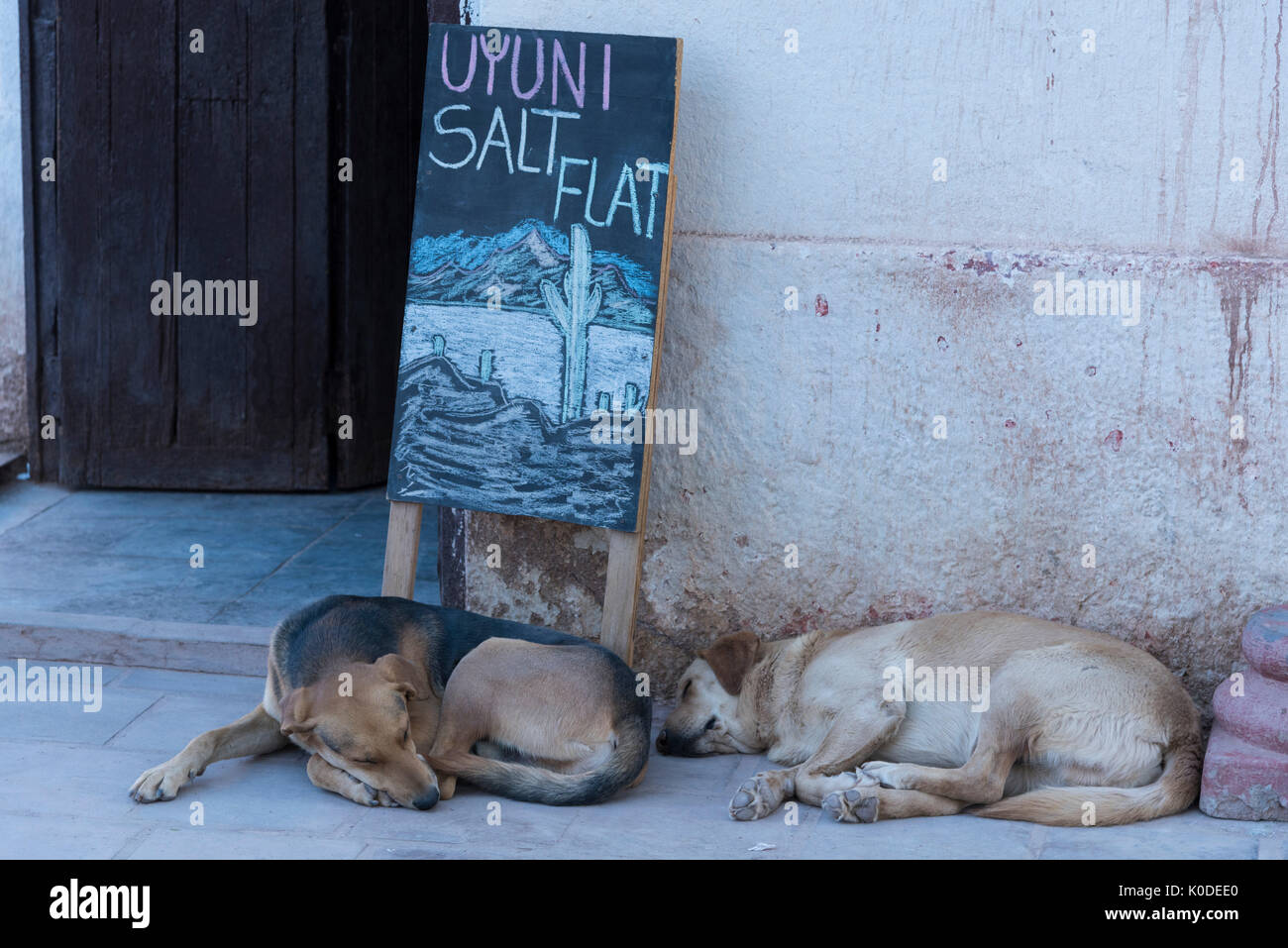 South America, Andes, Atacama, San Pedro de Atacama, sleeping dogs Stock Photo