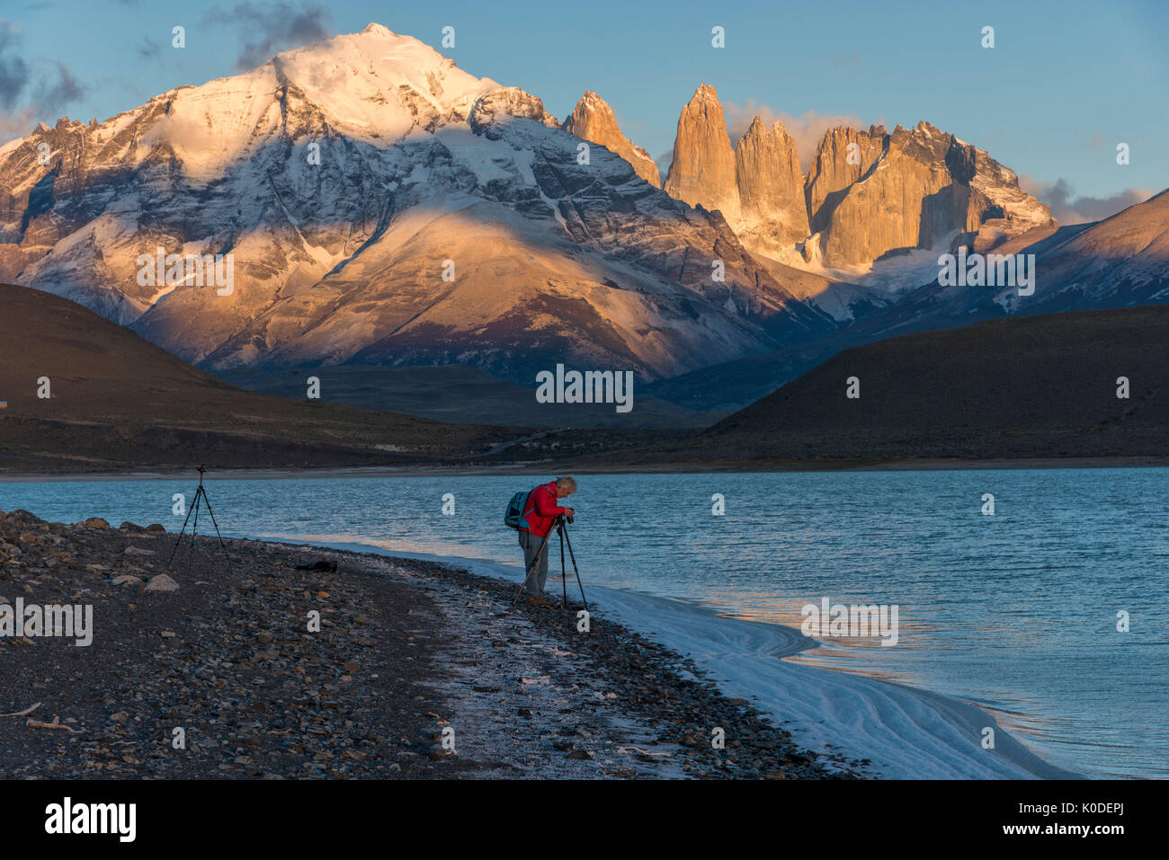 South America, Andes, Patagonia, Torres del Paine, UNESCO World Heritage, National Park, Laguna Amarga with Torres Stock Photo