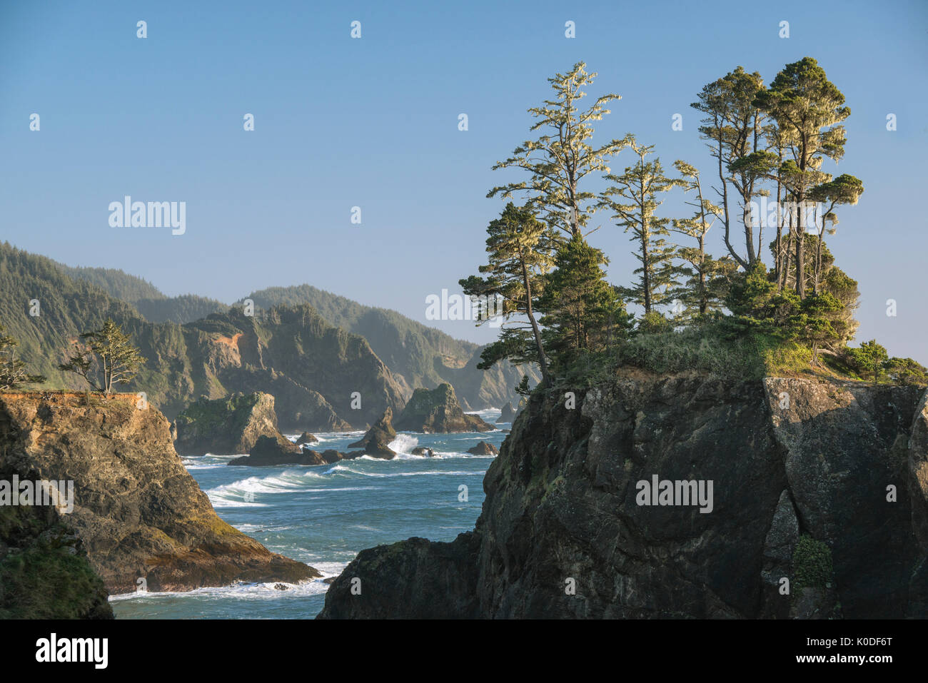 USA, America, Oregon, South Coast, Samel S. Boardman, State Park Stock Photo