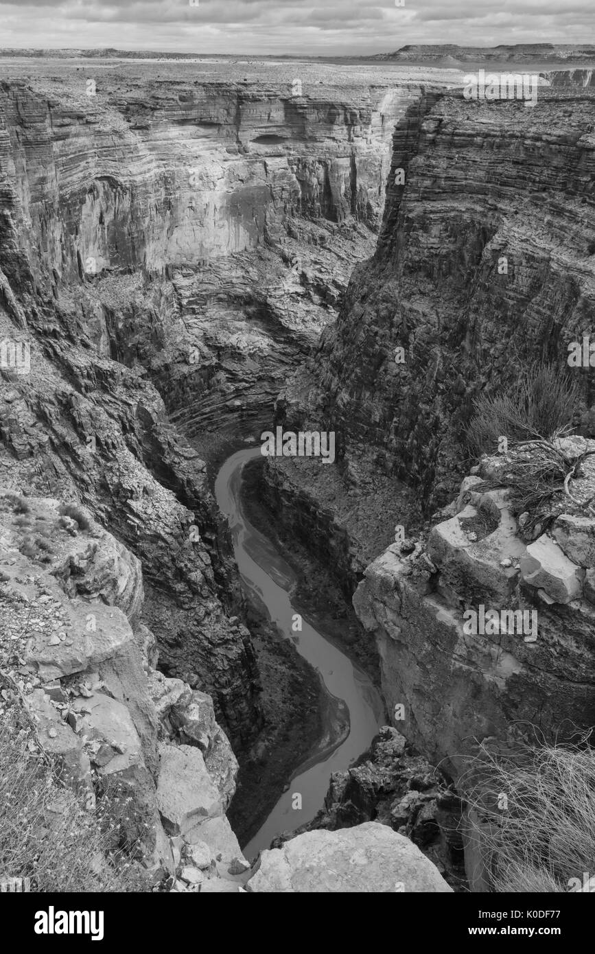 USA, Arizona, Colorado Plateau, Little Colorado River Canyon Stock Photo