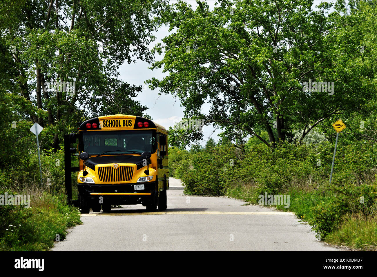 school bus on a road with bushes and trees Stock Photo