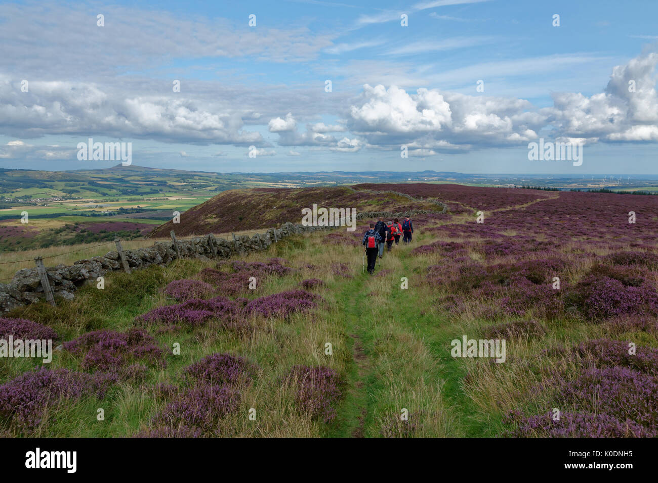 Walkers on Benarty Hill, near Ballingry, Fife, Scotland. Stock Photo