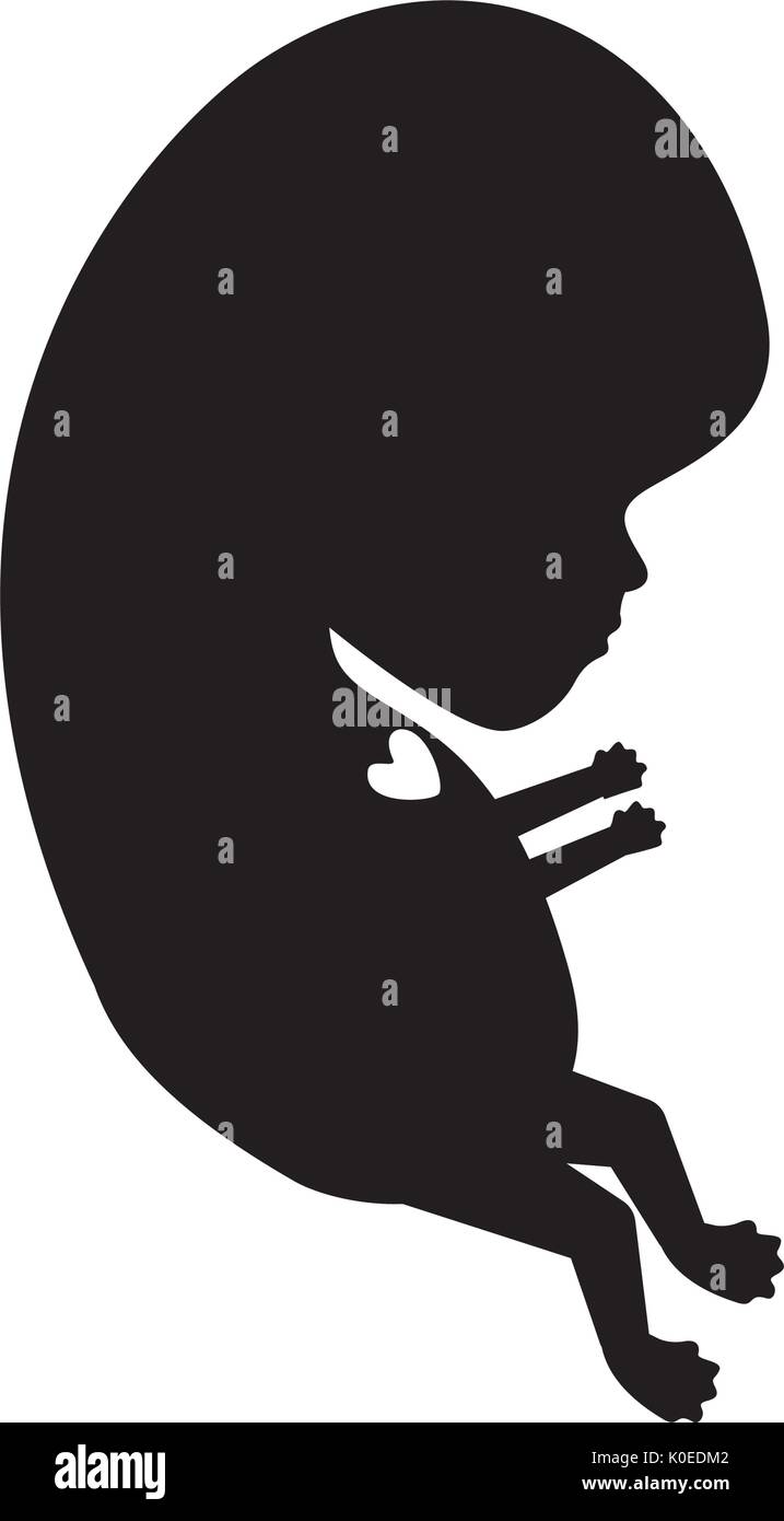 black silhouette of side view fetal growth Stock Vector Image & Art - Alamy