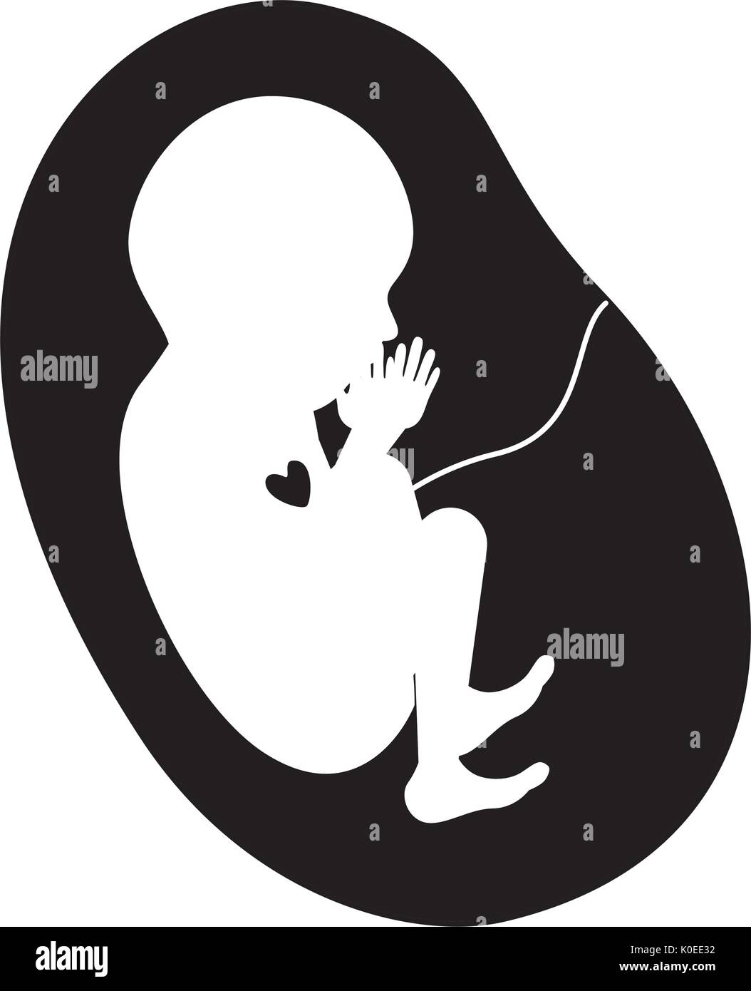 Fetus In Womb Stock Photos &amp; Fetus In Womb Stock Images - Alamy