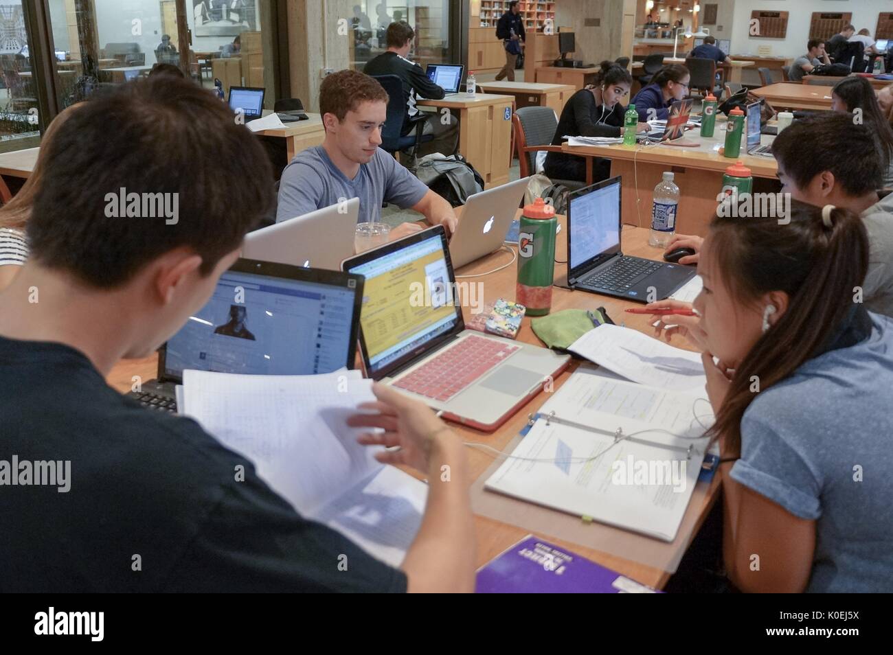 Multiple groups of college students sit together at tables in the Milton S Eisenhower Library at Johns Hopkins University, studying from notebooks and laptops, with water bottles and papers scattered across the tables, Baltimore, Maryland, 2014. Courtesy Eric Chen. Stock Photo