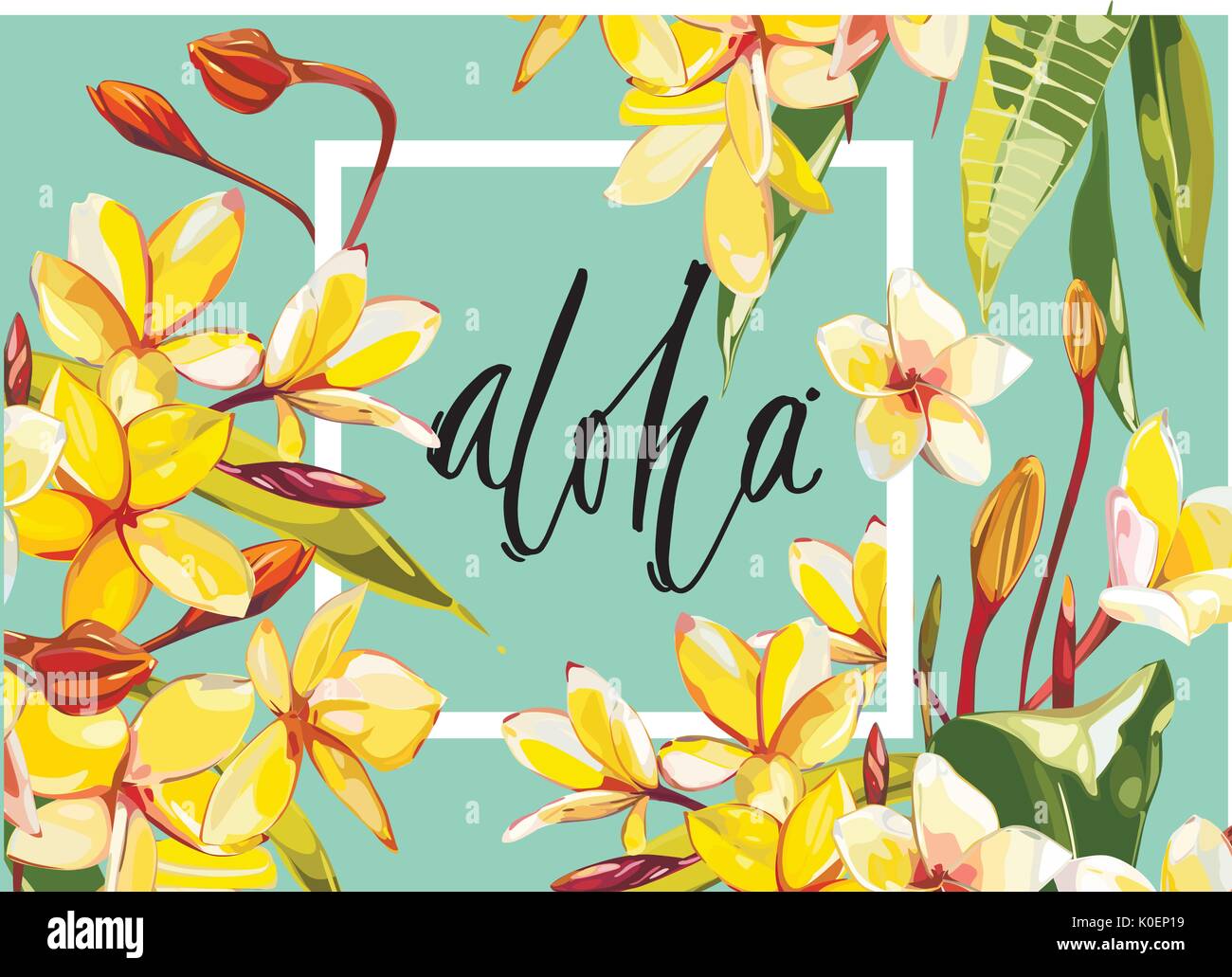 Floral frame with Plumeria flowers on light background. Greeting card or template for wedding's Day design. Word- Aloha. EPS 10 Stock Vector