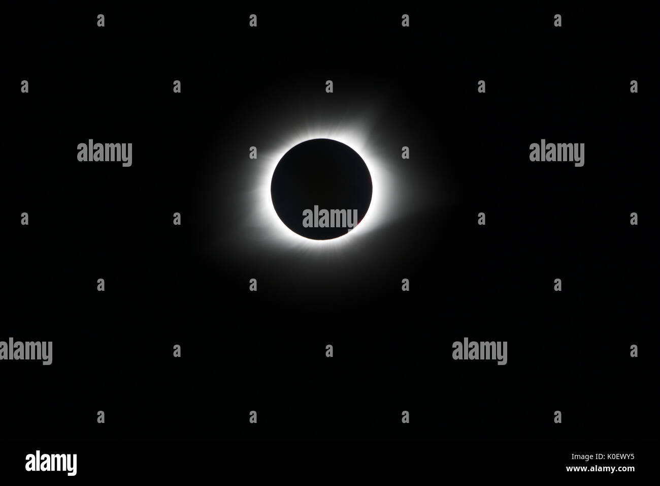 Owensville Mo Christmas Events 2022 Page 5 - Zoom Event High Resolution Stock Photography And Images - Alamy