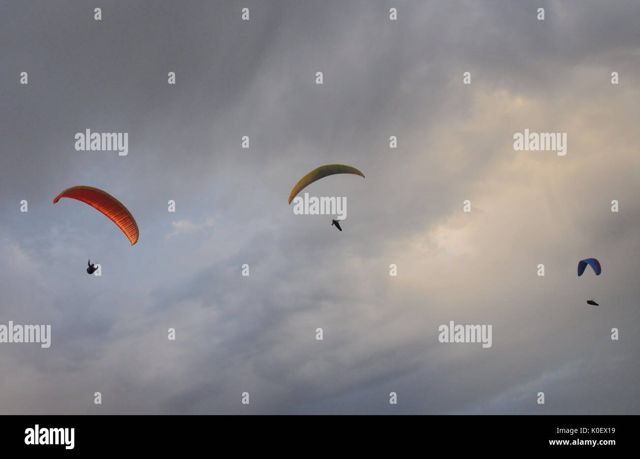 Seaford, East Sussex, UK. 22nd Aug, 2017. Paraglider pilots take advantage of the Easterly wind at High & Over on the South Downs.. Stock Photo