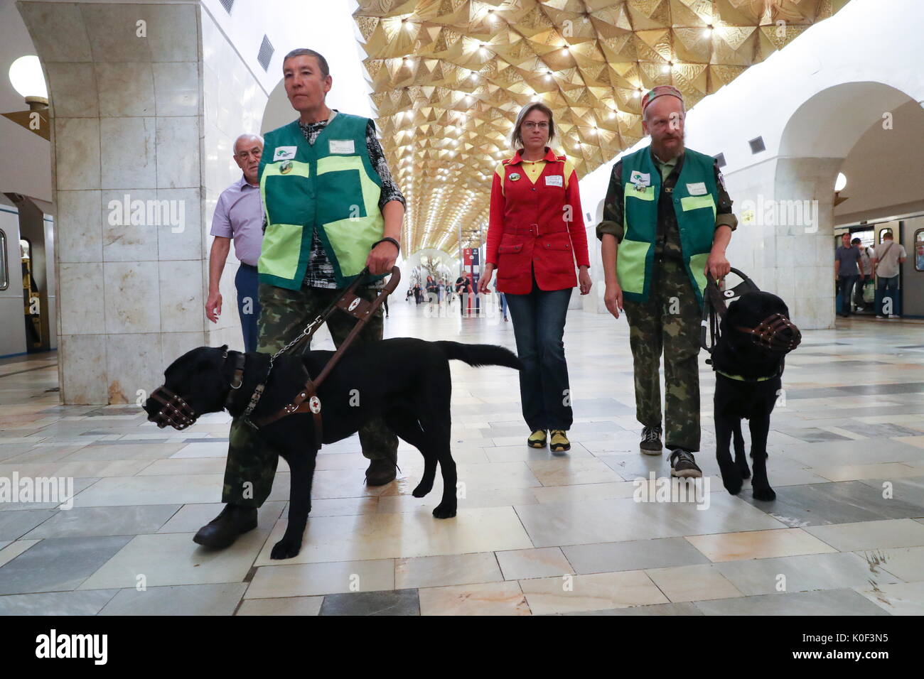 russian metro dogs