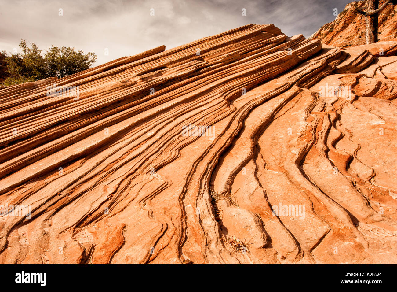 Sandstone utah zion hires stock photography and images Alamy