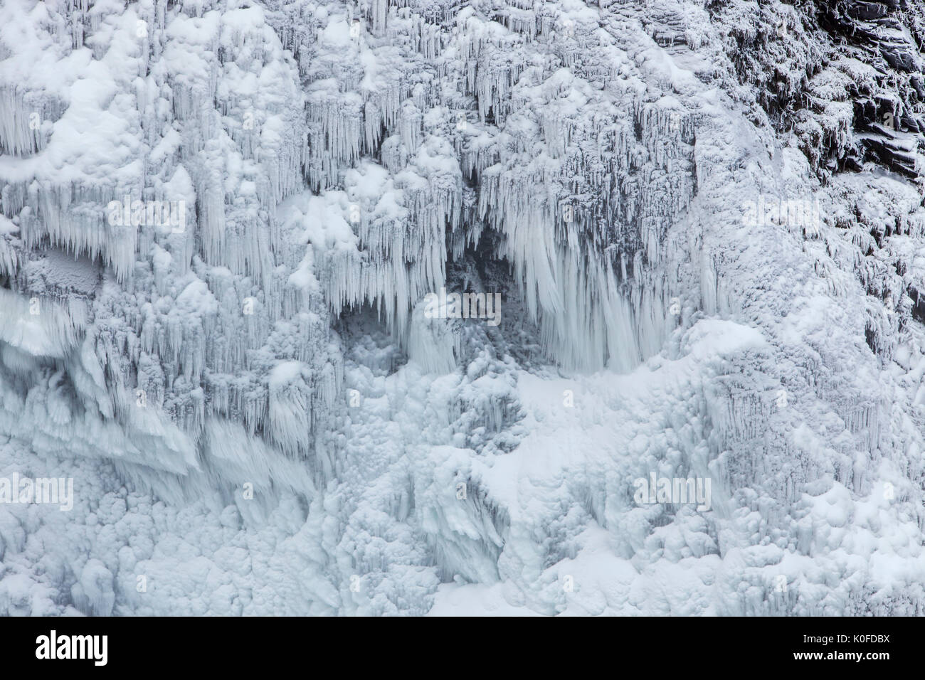 Rime ice and hoars frost near Snoqualmie Falls in Snoqualmie, Washington, USA. Stock Photo
