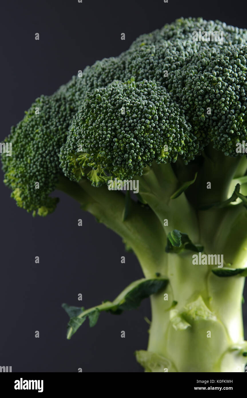 Broccoli floret close up Stock Photo Alamy