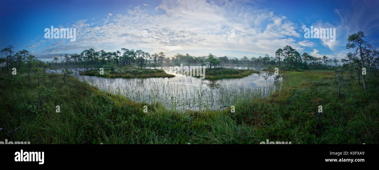 Sunrise in the bog. Icy cold marsh. Frosty ground. Swamp lake and ...