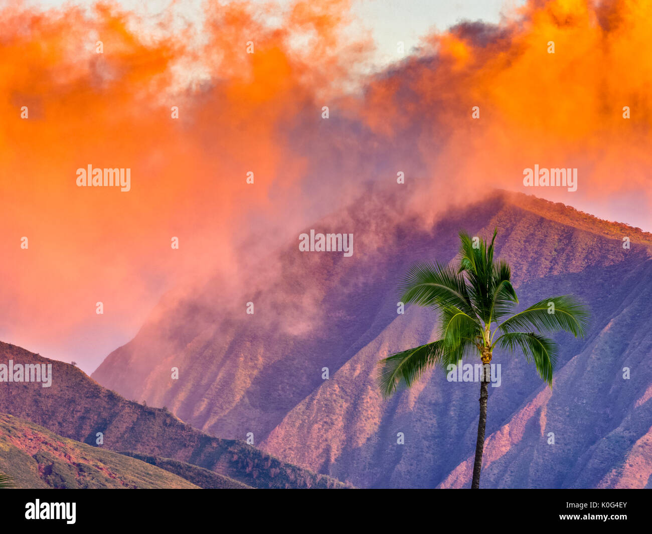 Tree heaven paradise romantic hi-res stock photography and images - Alamy