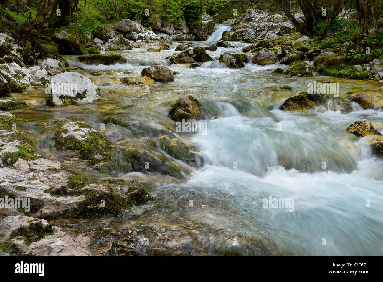 Clear cold alpine Lepenica river in Spring at Sunikov Vodni Gaj Nature Preserve in Triglav National Park Julian Alps Lepena Valley Slovenia Stock Photo