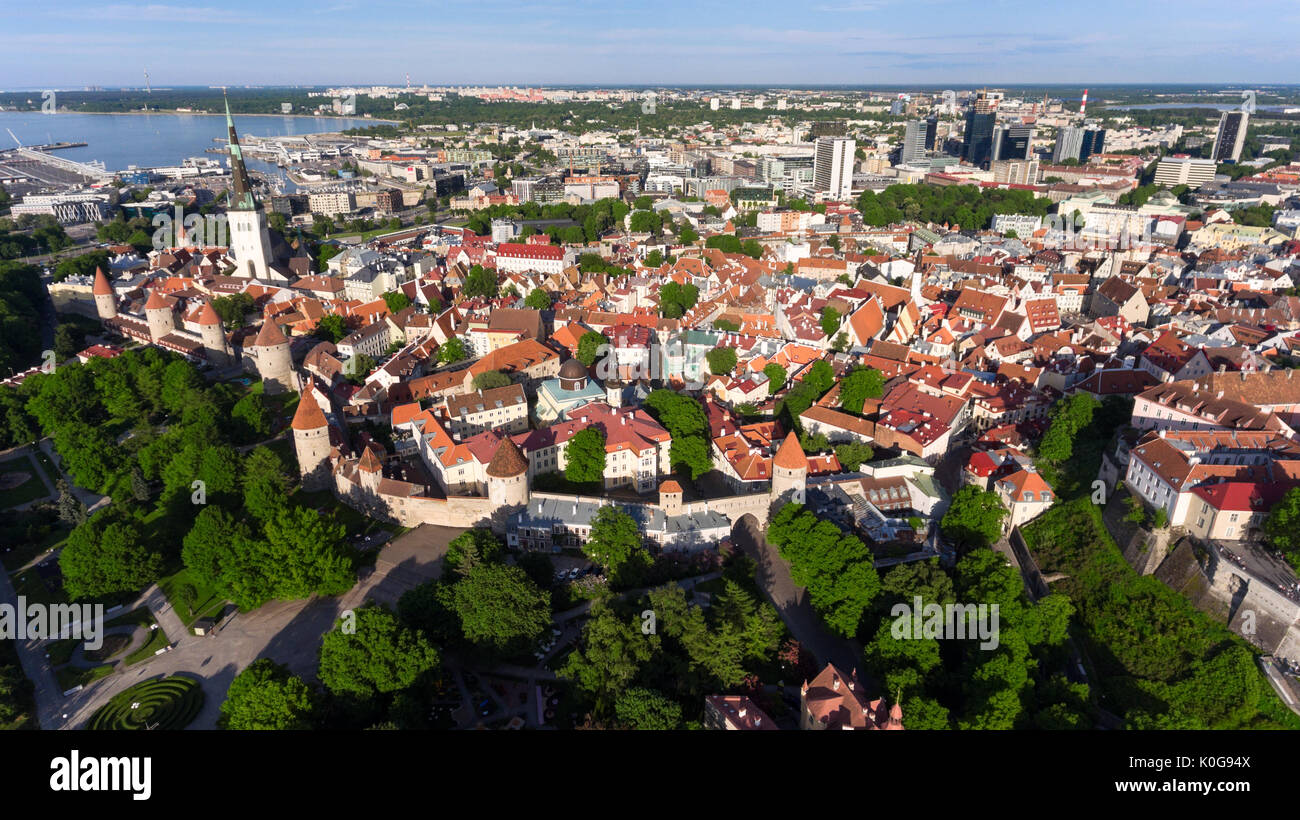 St. Olaf's Church is the tallest building in Old Town of Tallinn. Tourist sights in Estonia. Aerial view from drone Stock Photo