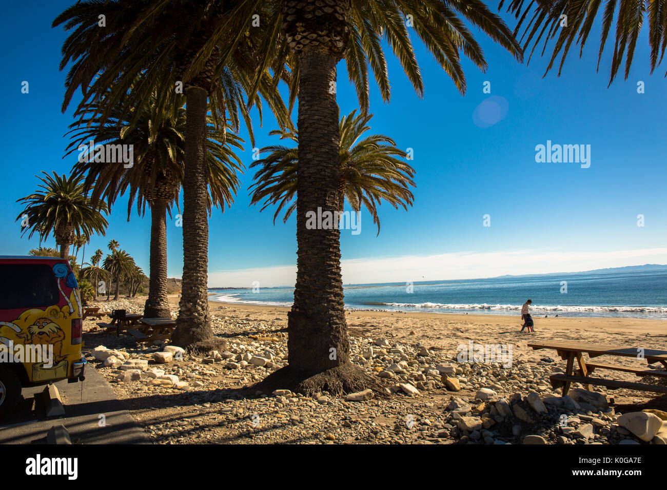 Palm trees at Refugio beach, California Stock Photo Alamy