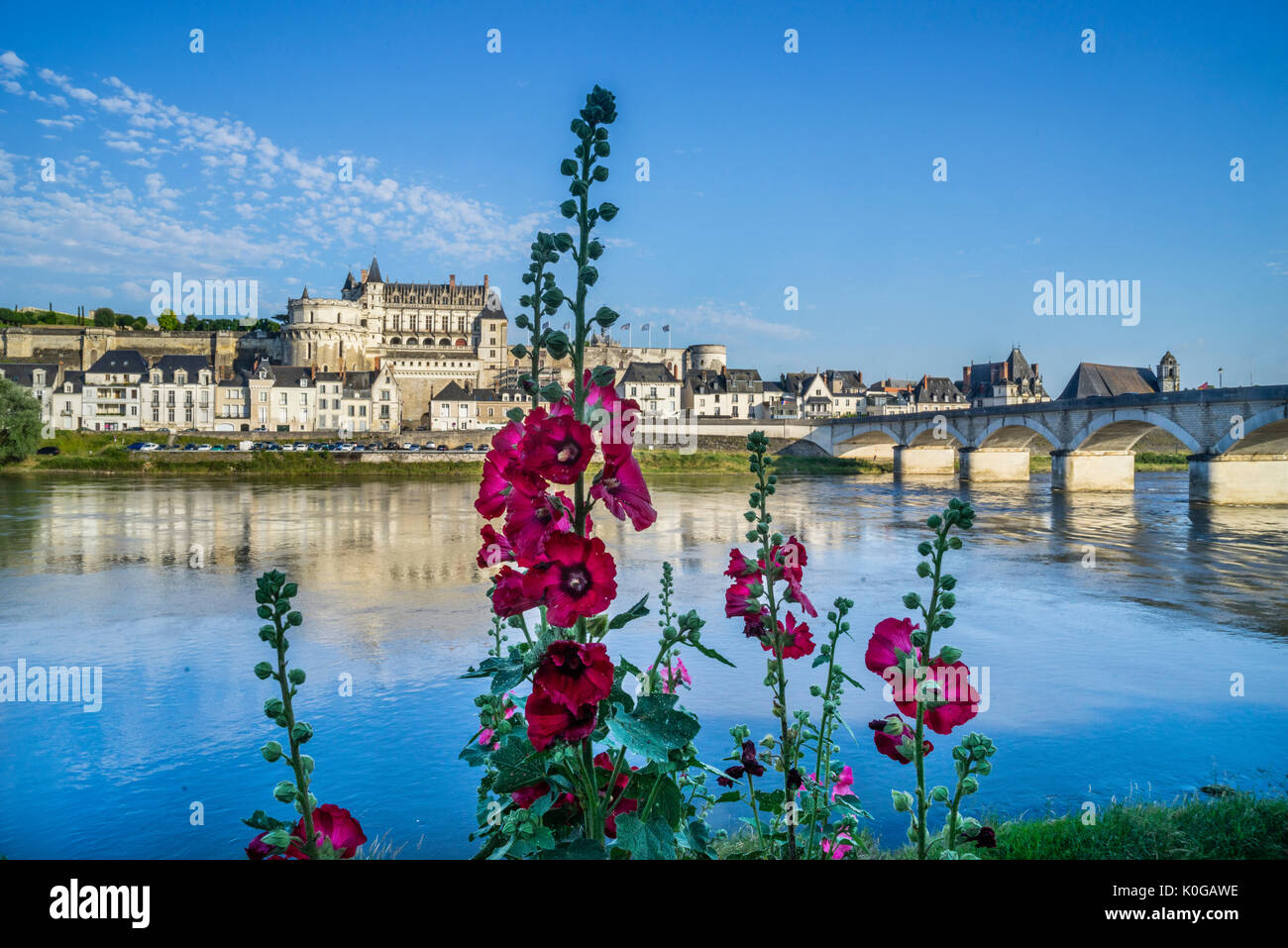 France, Centre-Val de Loire, Malva flowers on the banks of Loire River with view of Amboise, Château d'Amboise and Pont du Maréchal Leclerc Stock Photo