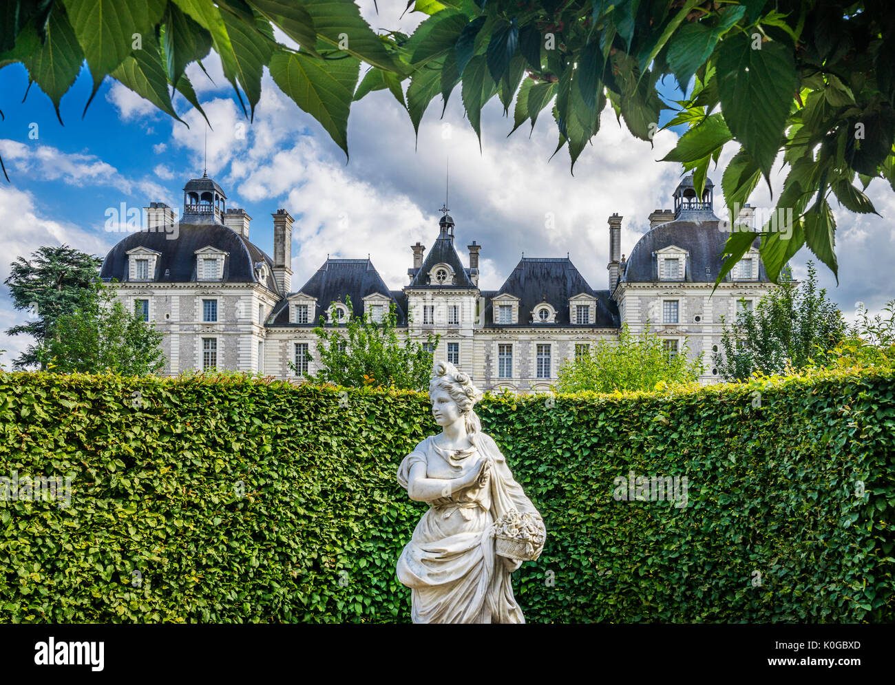 France, Loir-et-Cher department, the Louis XIII style north facade of Château de Cheverny from the gardens Stock Photo
