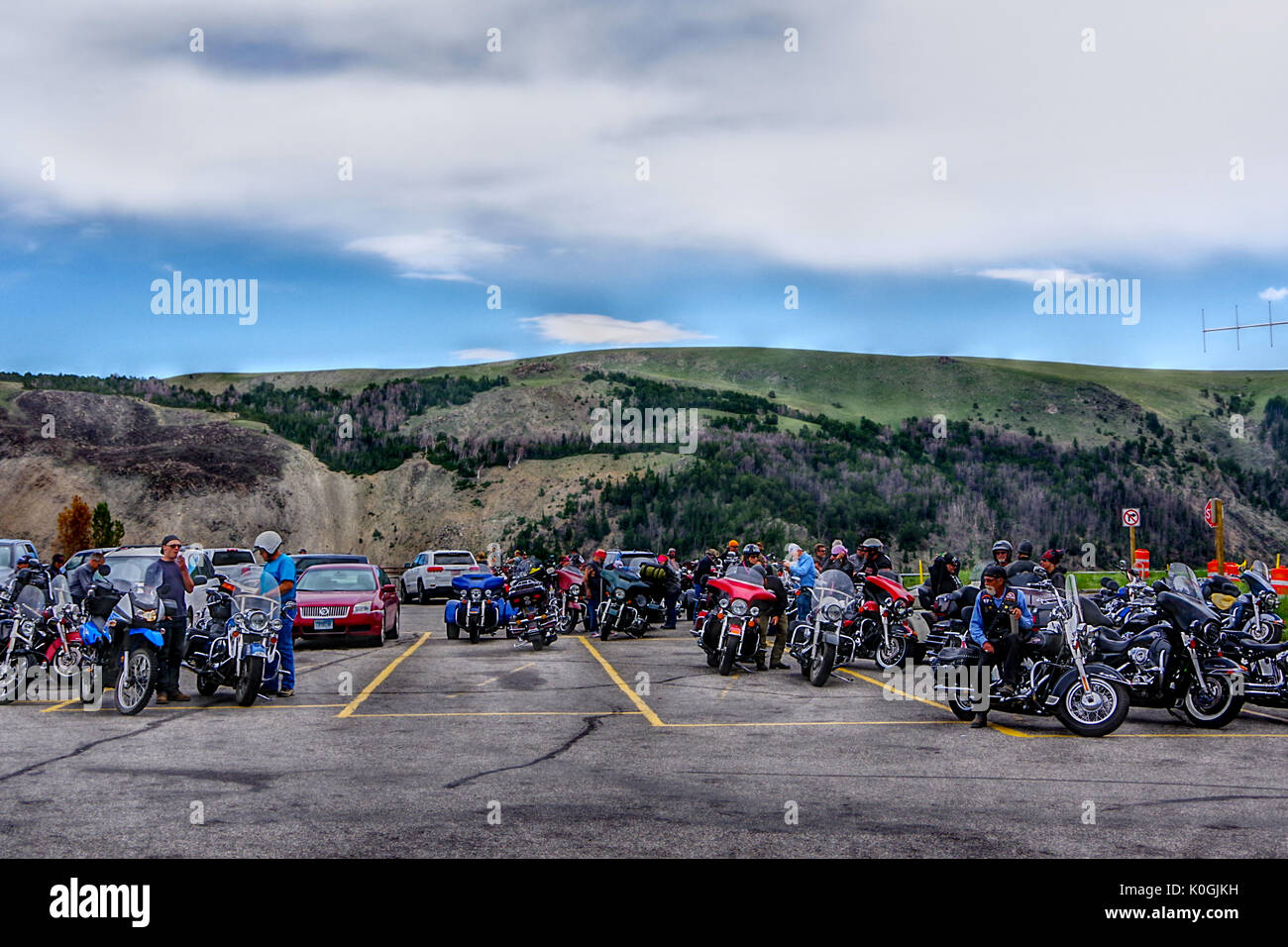 Swingers in bridger mt