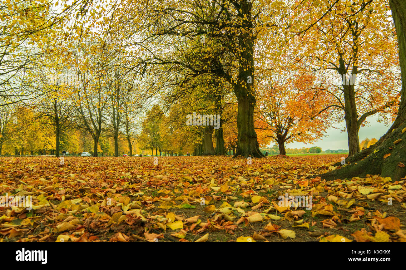 Beautiful romantic alley in a park with colorful trees, autumn ...