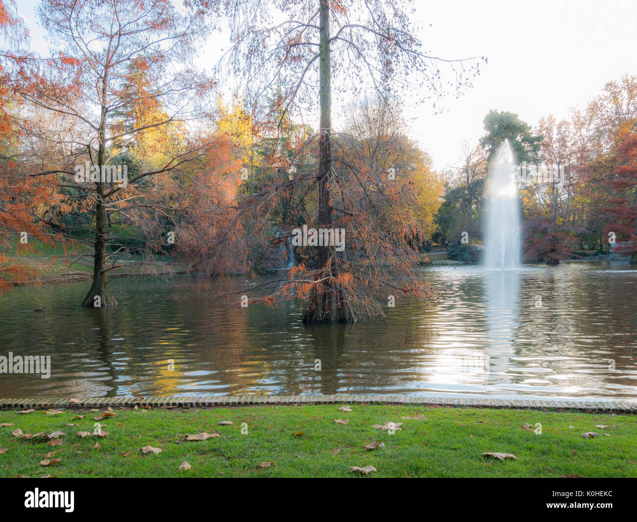Lago del Palacio de Cristal en los Jardines del Buen Retiro. Madrid capital. España Stock Photo