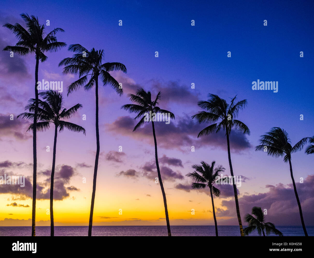 Sunset and palm trees Maui Hawaii Stock Photo - Alamy