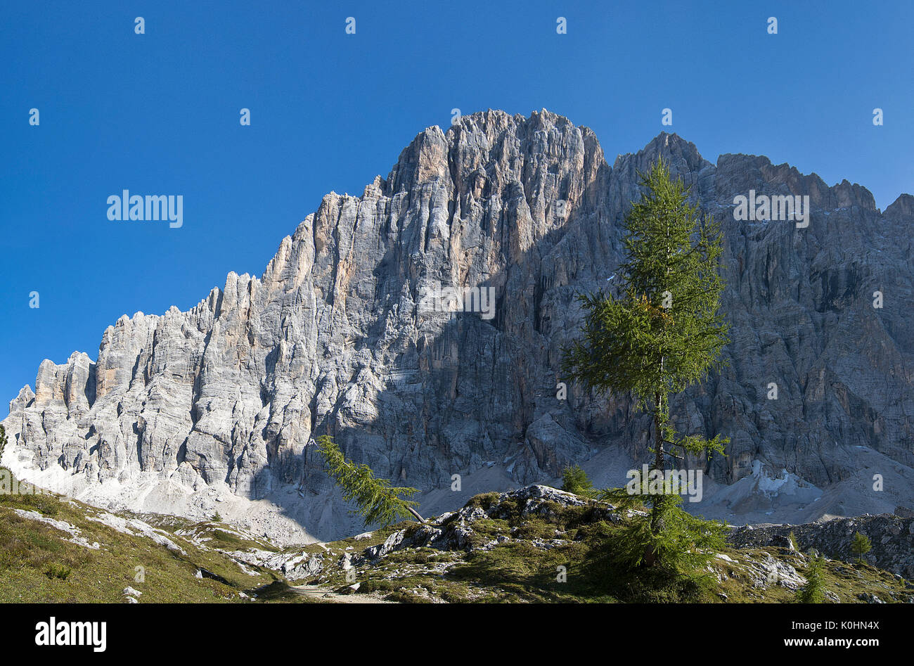 Civetta, Dolomites, Veneto, Italy. The north-west face of the Civetta Stock  Photo - Alamy