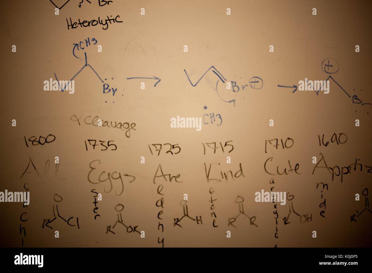 Notes from college students on a whiteboard in the Brody Learning Commons, a study space and library on the Homewood campus of the Johns Hopkins University in Baltimore, Maryland, 2015. Courtesy Eric Chen. Stock Photo