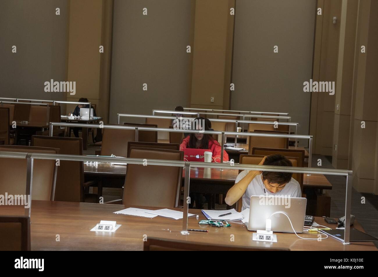 The reading room of Brody Learning Commons with a few students depicted studying at the large tables, 2016. Courtesy Eric Chen. Stock Photo