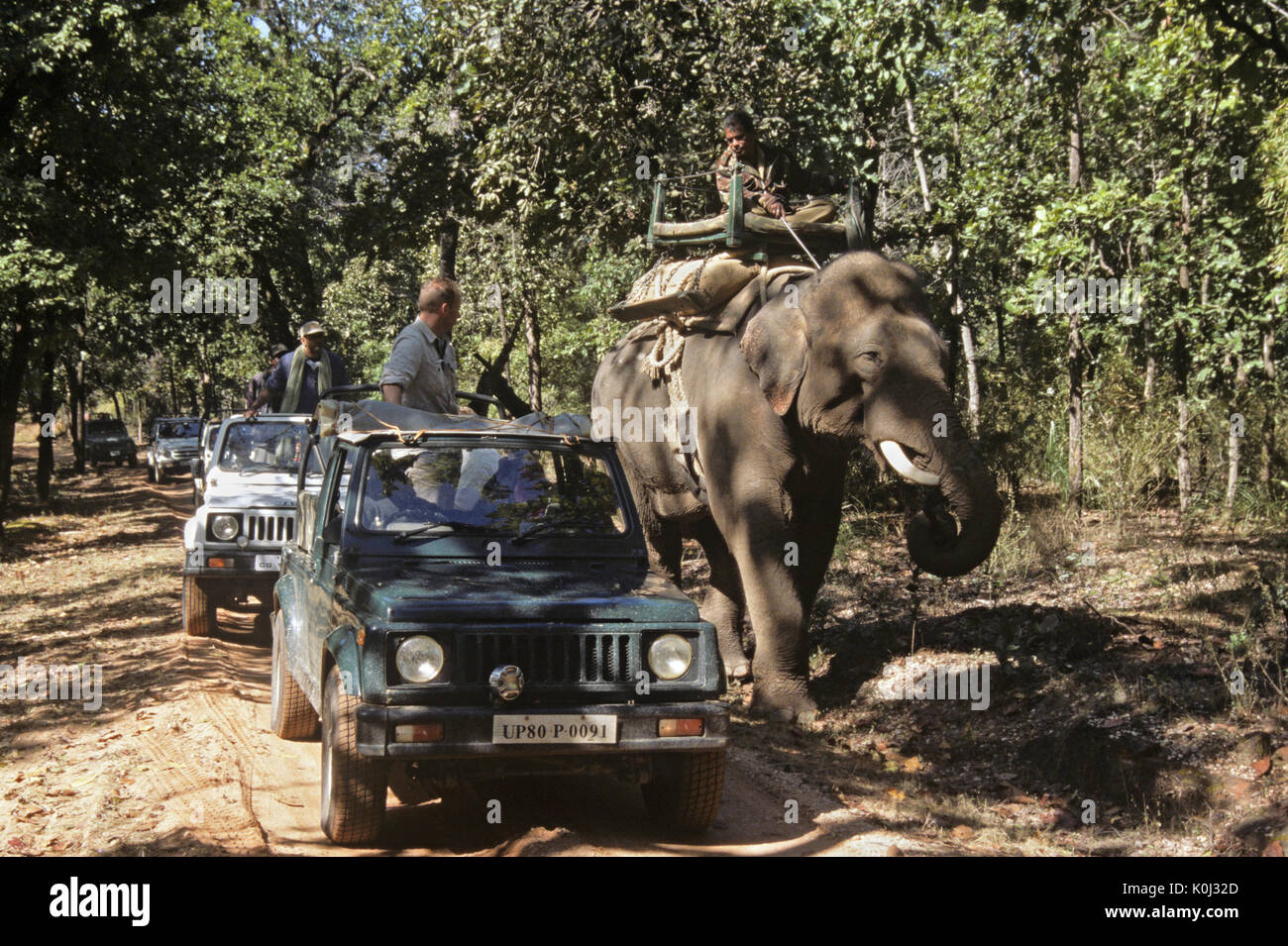 Elephant riding safari bandhavgarh hi-res stock photography and images ...