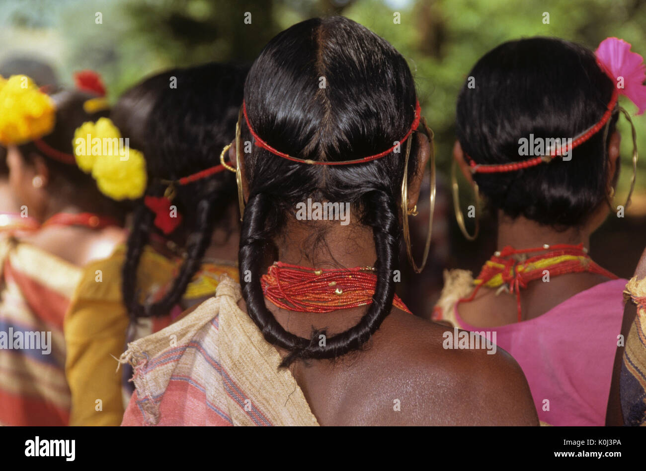 Gadba tribal woman's hairstyle, Odisha (Orissa), India Stock Photo