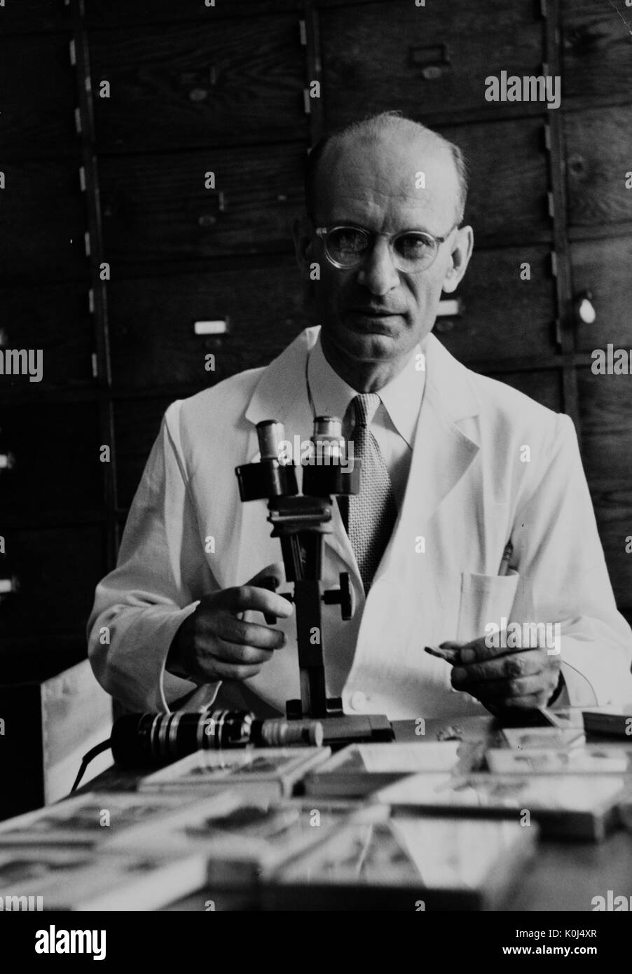Candid seated half-length portrait of Italian scientist Franco Rasetti at his microscope at the Johns Hopkins University, where he held a chair in physics. 1953. Stock Photo