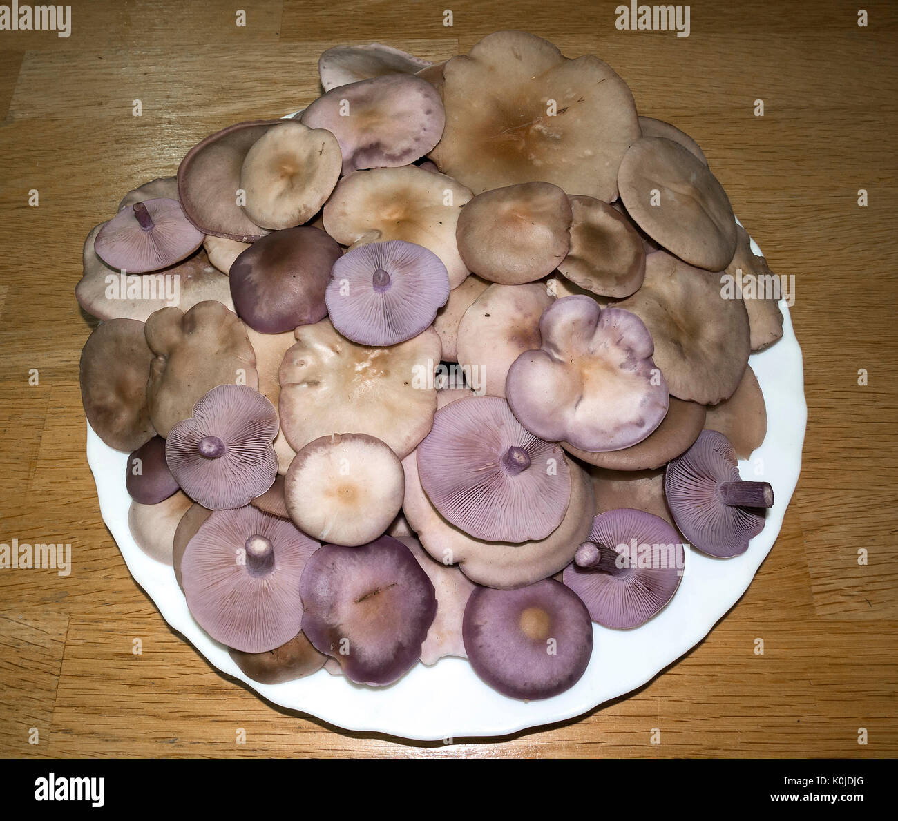 Vaciamadrid hi-res stock photography and images - Alamy