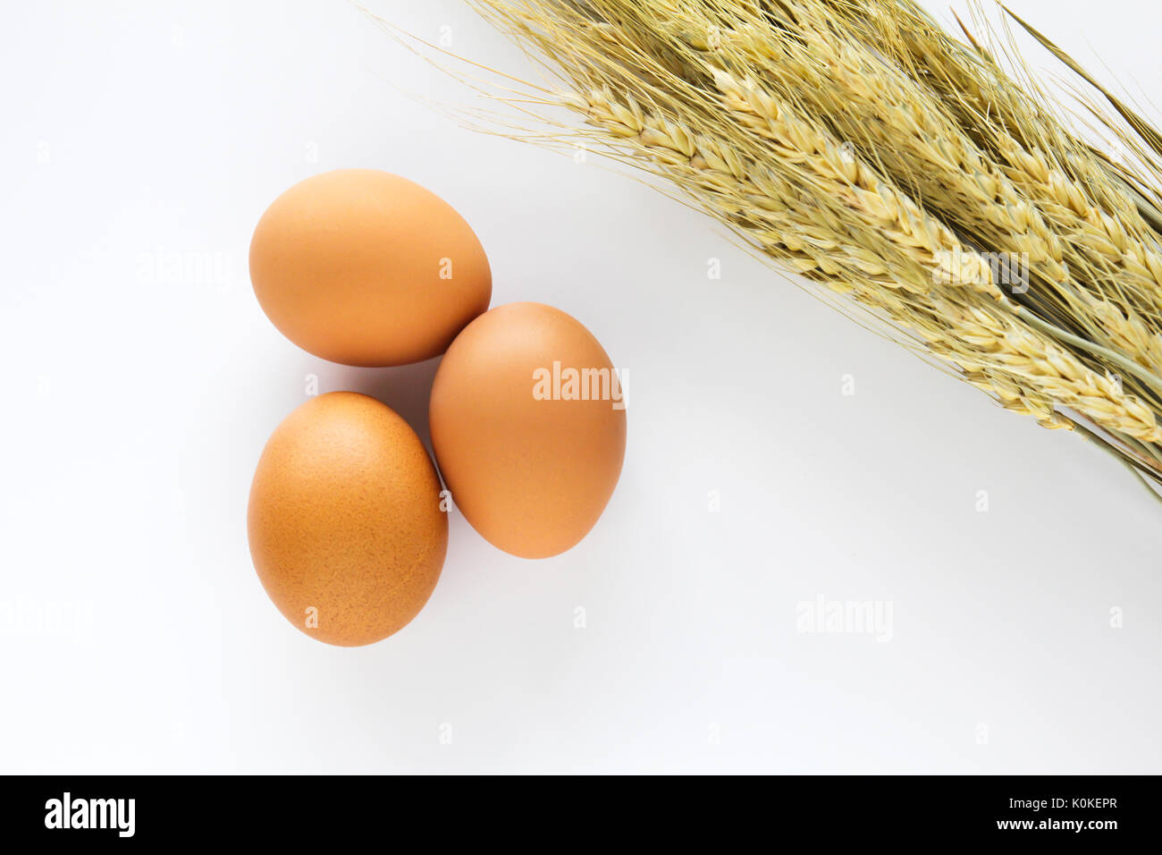 Fresh eggs and wheat on a white background Stock Photo Alamy
