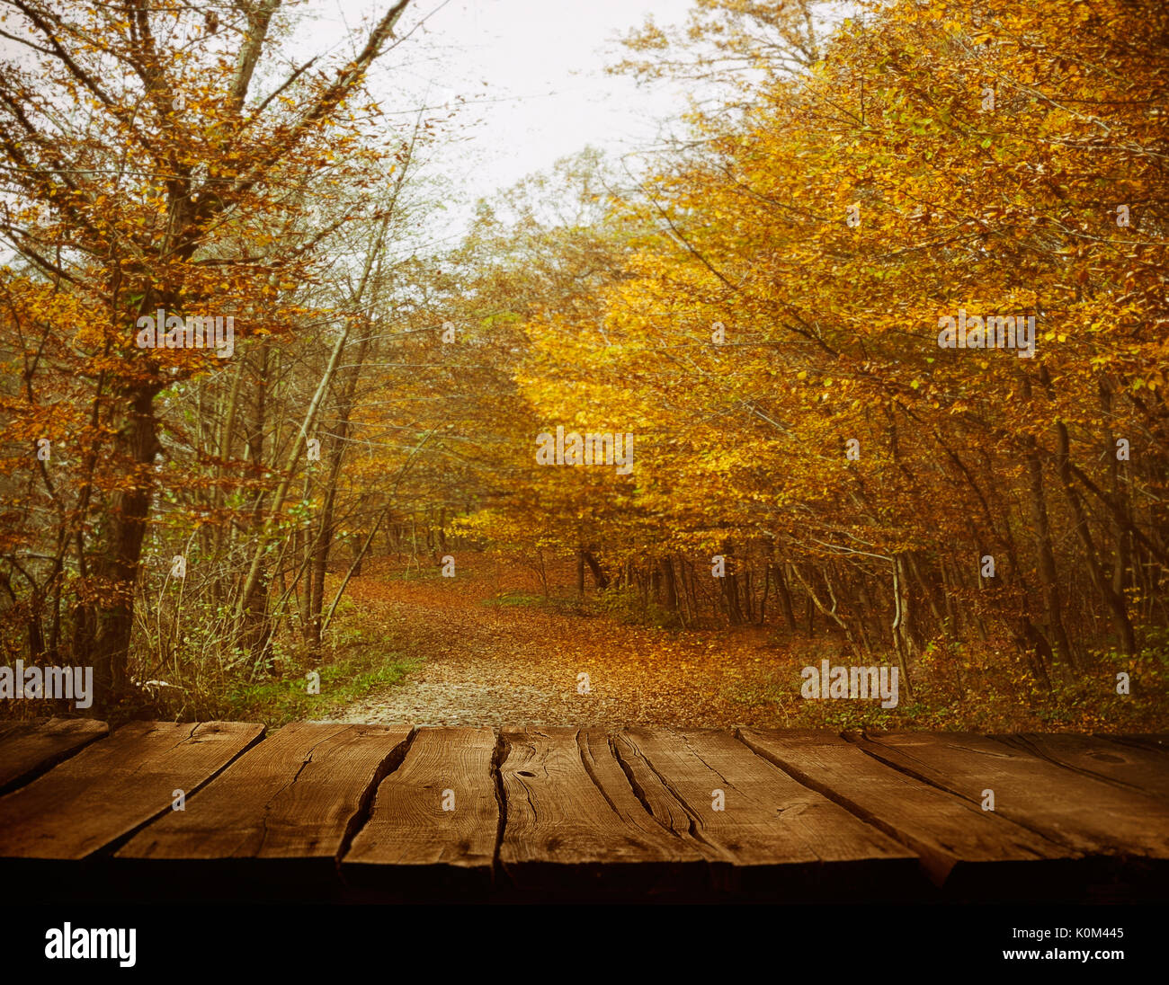 Wooden table. Autumn design with leaves falling in  forest and empty display. Space for your montage. Season fall background Stock Photo