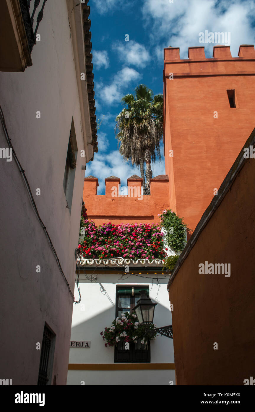 the alleys and the palaces of the Barrio de Santa Cruz, the primary tourist neighborhood of Seville and the former Jewish quarter of the medieval city Stock Photo